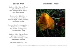 Laub-am-Boden-Flaischlen.pdf